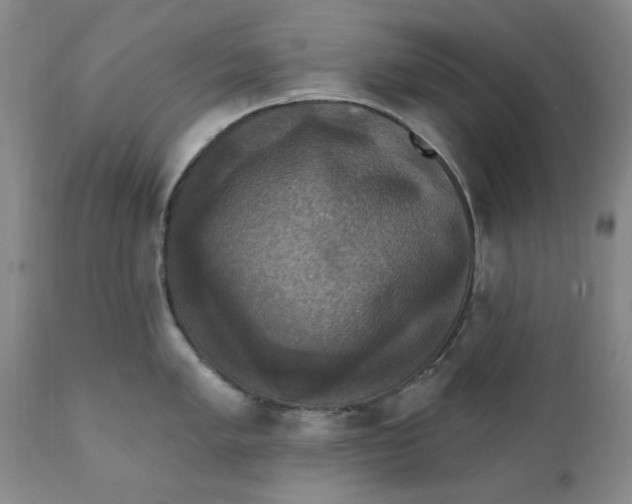 X0000112031005200908241534