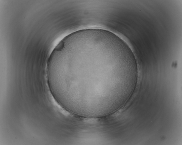 X0000112031006200908241534