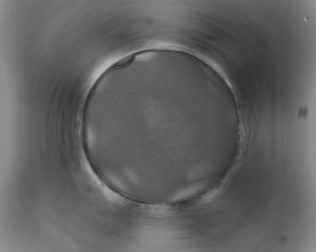 X0000112031007200908241534