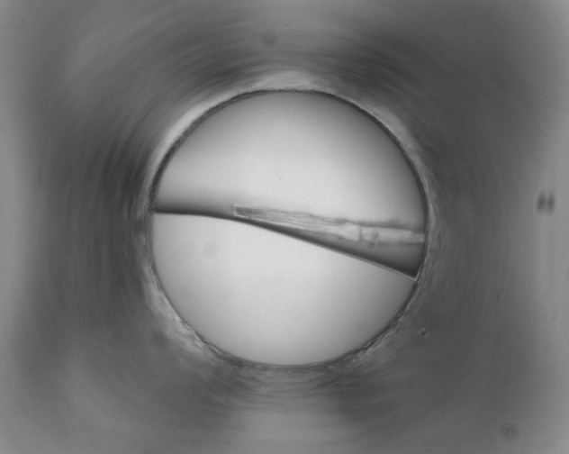 X0000112031008200908241534