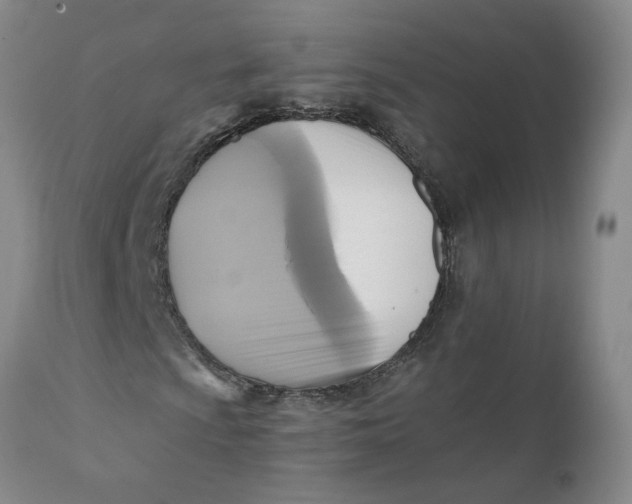 X0000112031009200908241533