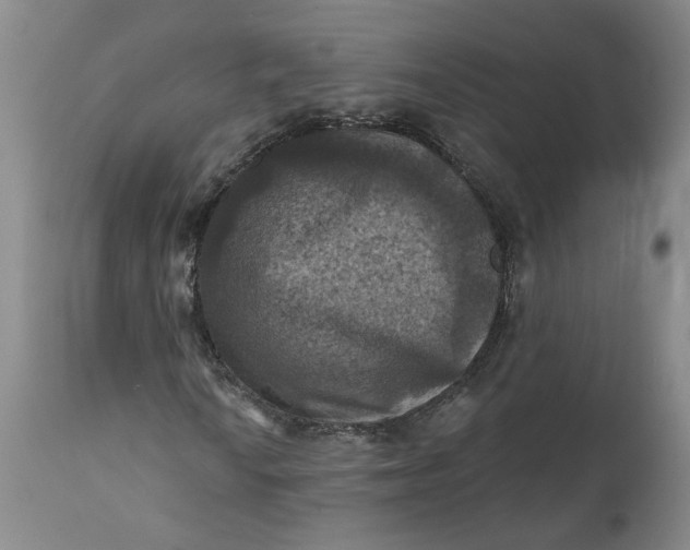 X0000112031010200908241533