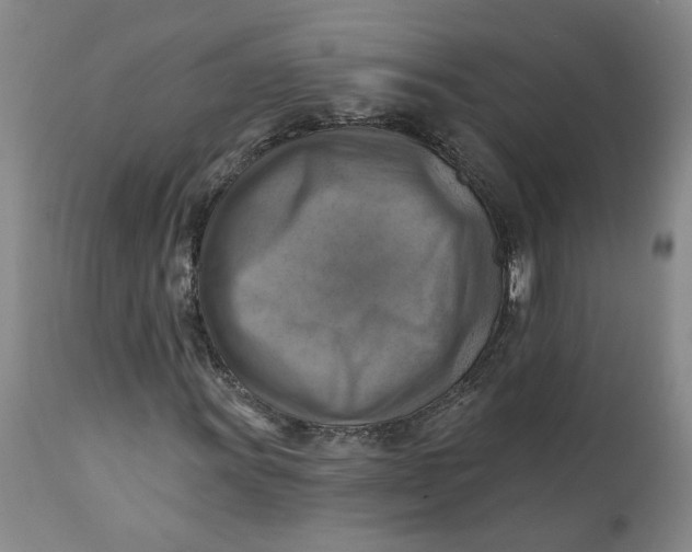 X0000112031011200908241533