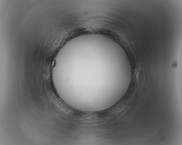 X0000112031012200908241533