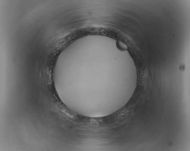 X0000112031013200908241533