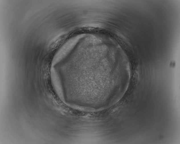 X0000112031014200908241533