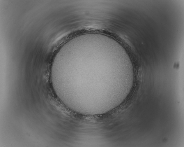 X0000112031015200908241533