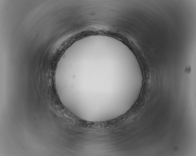 X0000112031016200908241533