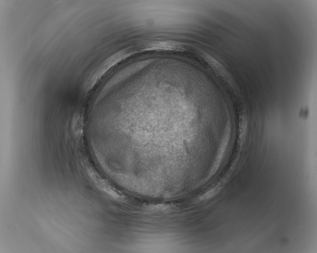 X0000112031017200908241533