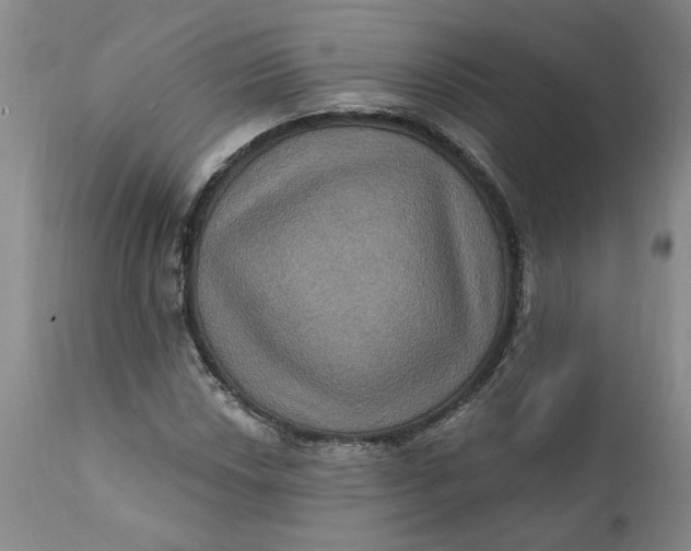 X0000112031018200908241533