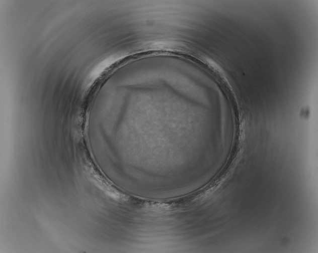 X0000112031019200908241533