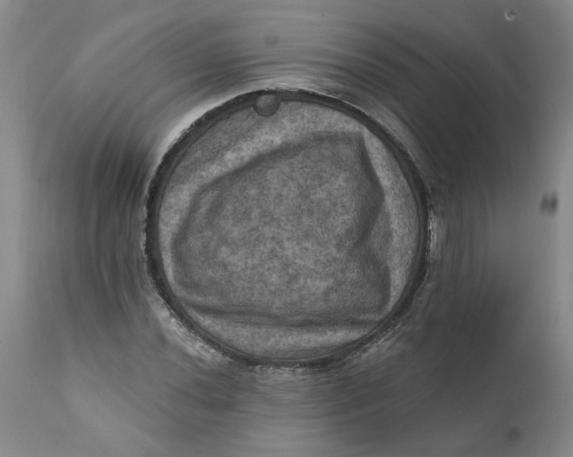 X0000112031020200908241533