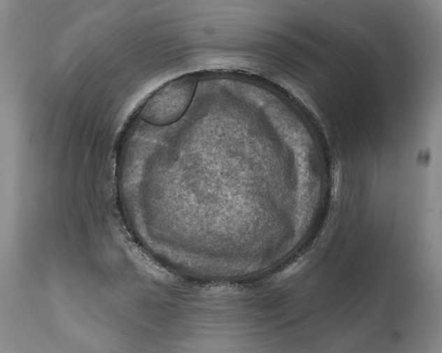 X0000112031021200908241533