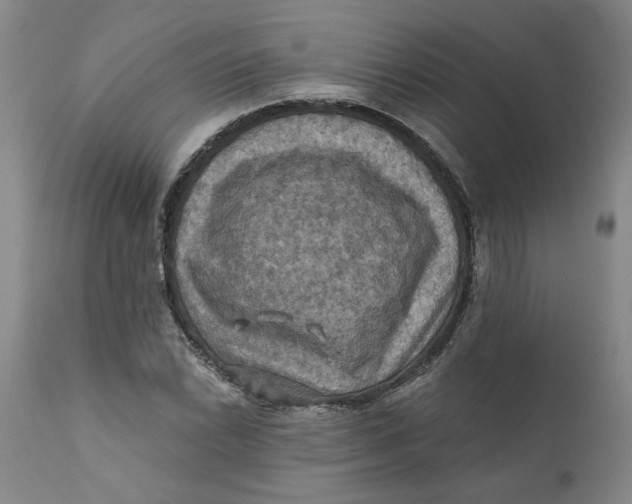 X0000112031022200908241533