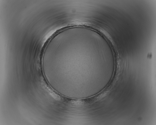 X0000112031023200908241533