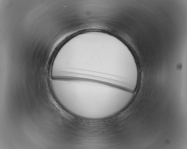 X0000112031024200908241533