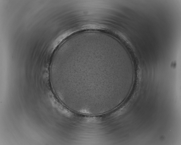 X0000112031025200908241533