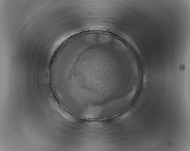 X0000112031027200908241533