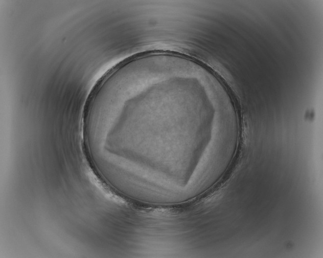 X0000112031028200908241533