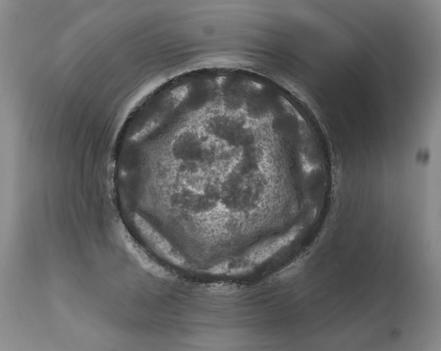 X0000112031029200908241533