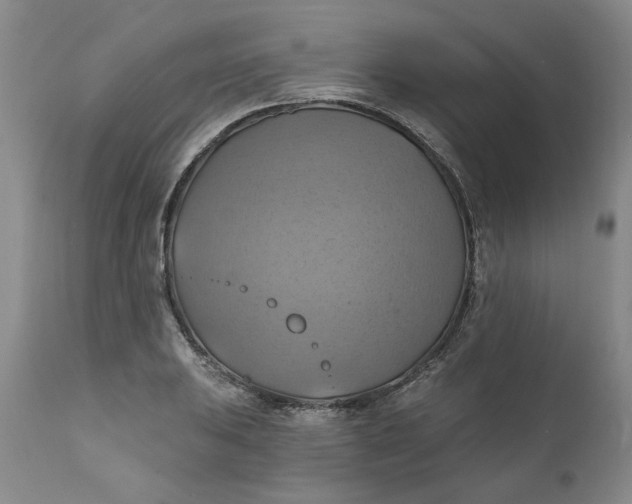 X0000112031031200908241533