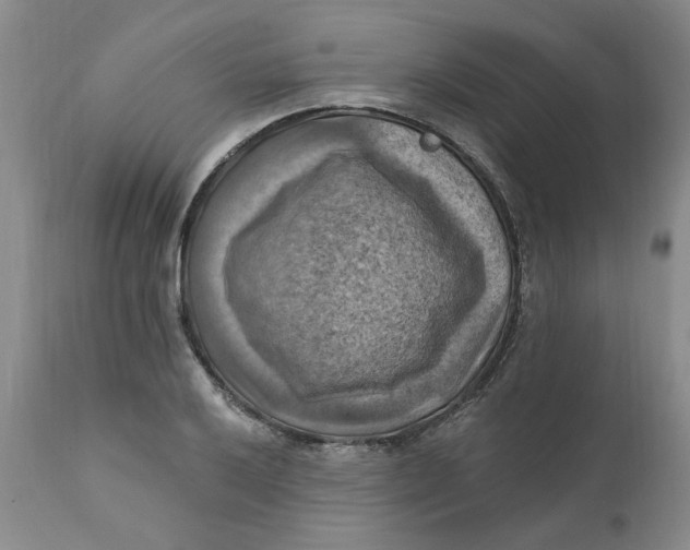 X0000112031032200908241533