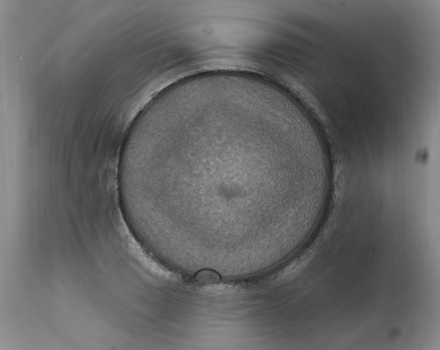 X0000112031033200908241533