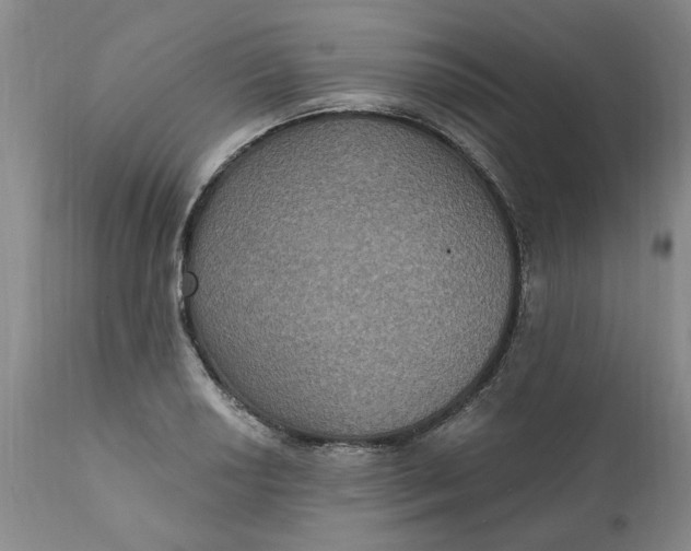 X0000112031034200908241533