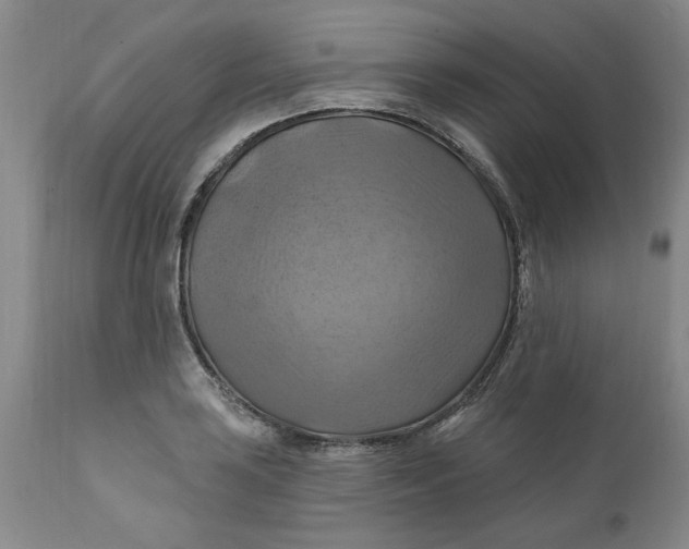 X0000112031035200908241533