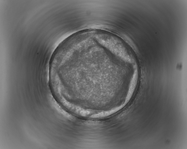 X0000112031036200908241533