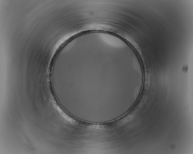 X0000112031037200908241533