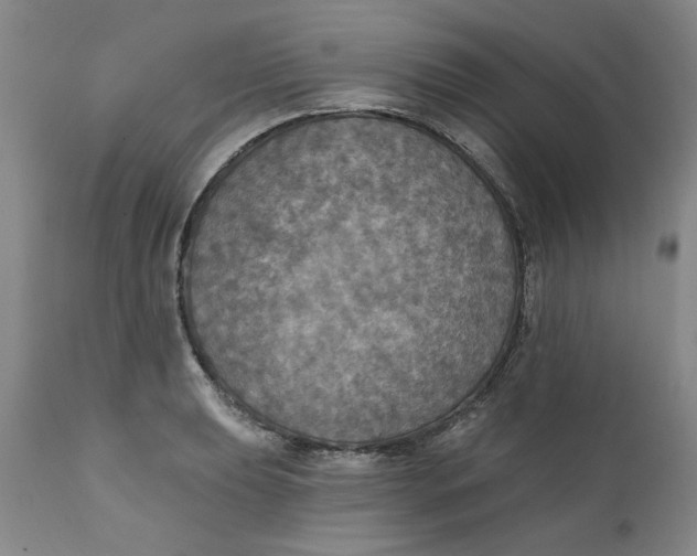 X0000112031039200908241533