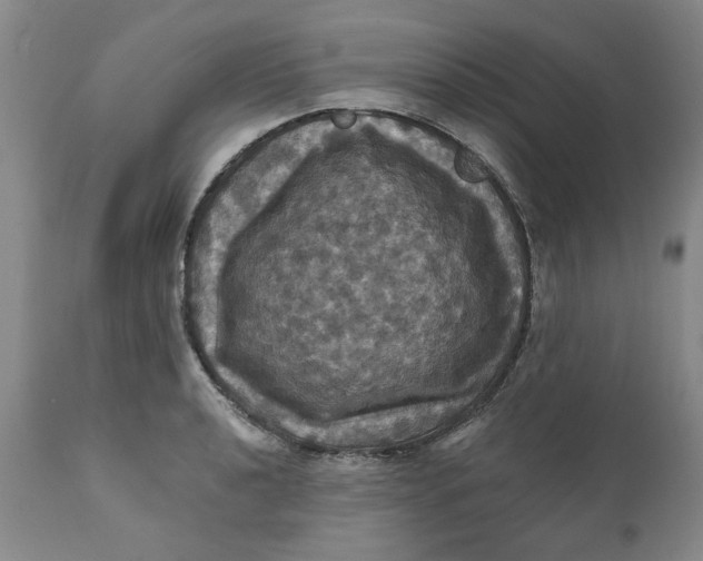 X0000112031040200908241533