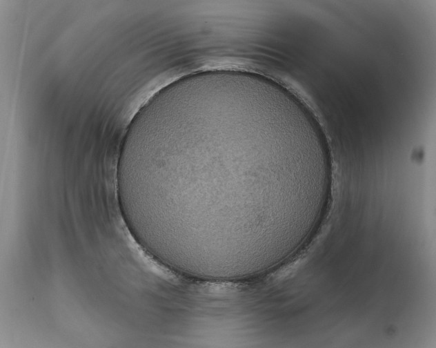 X0000112031041200908241534