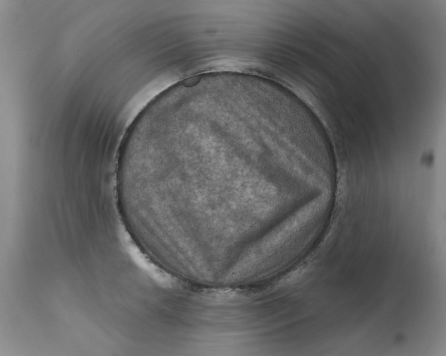 X0000112031042200908241534