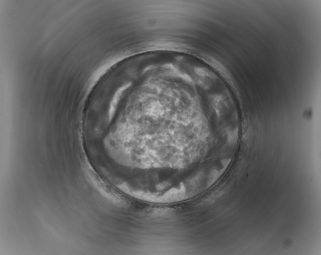 X0000112031043200908241534