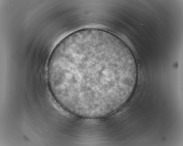 X0000112031044200908241534