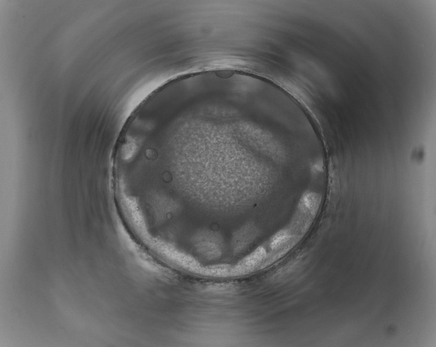 X0000112031047200908241534