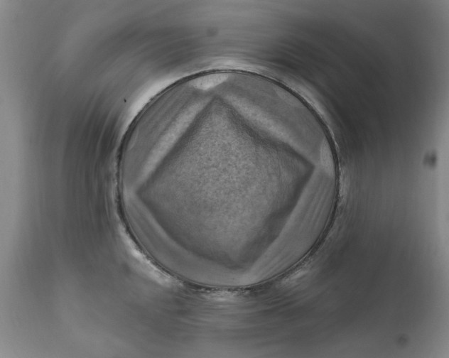 X0000112031048200908241534