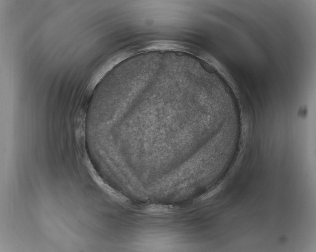 X0000112031049200908241534