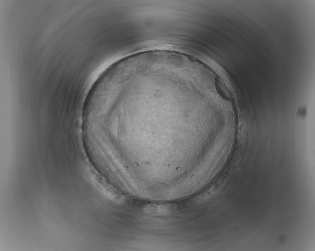 X0000112031051200908241534