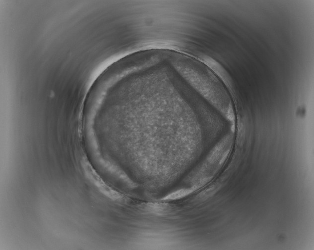 X0000112031052200908241534