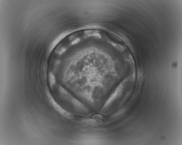 X0000112031054200908241534