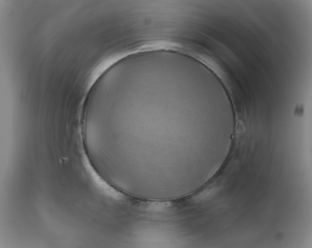 X0000112031055200908241534