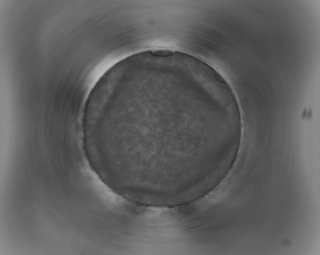 X0000112031056200908241534