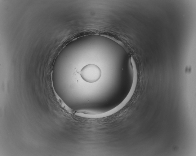 X0000112031057200908241533