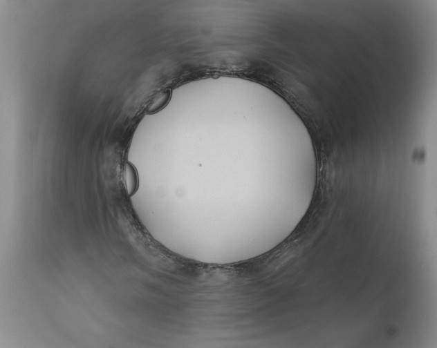 X0000112031058200908241533