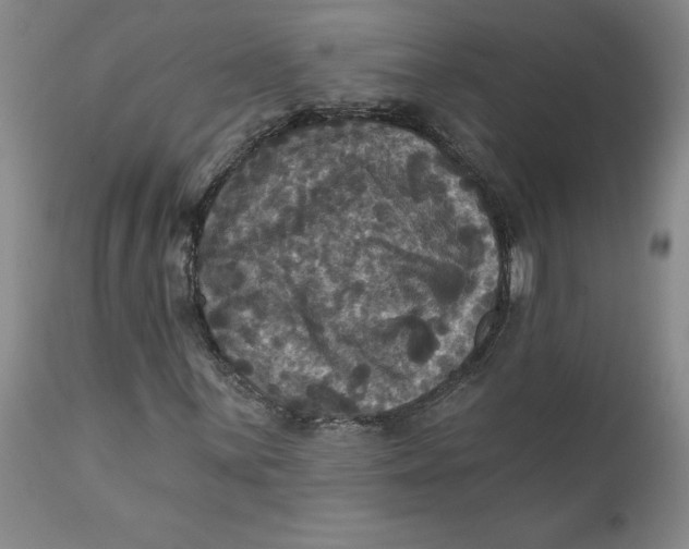 X0000112031059200908241533