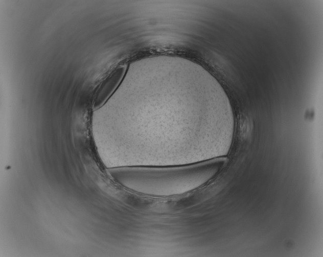 X0000112031060200908241533