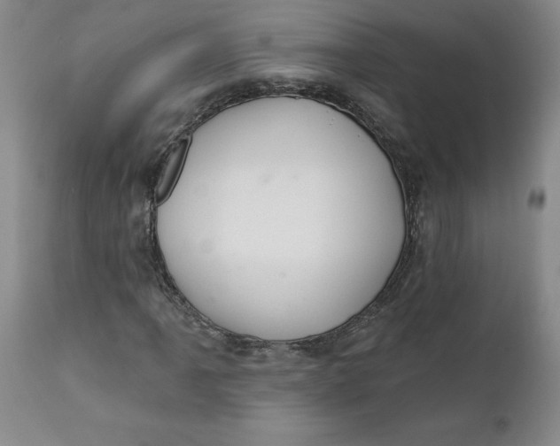 X0000112031061200908241533